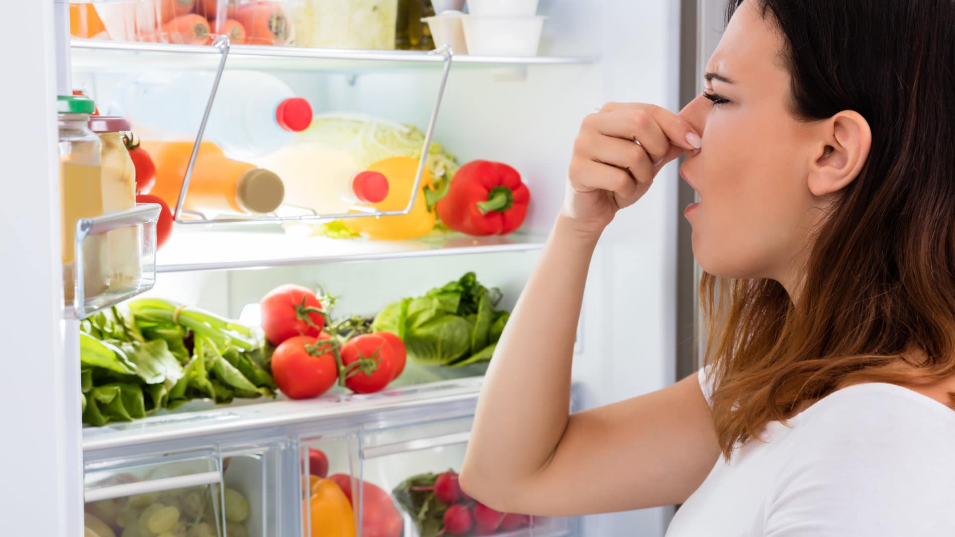 Featured image for “5 Reasons Your Refrigerator Smells”